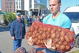 Картошку в Пензе покупали под музыку
