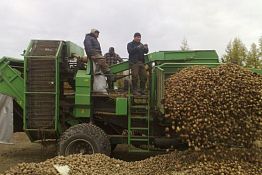 В регионе разработали «Дорожную карту по поддержке сельхозкооперативов» В регионе разработали «Дорожную карту по поддержке сельхозкооперативов»