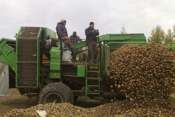 В регионе разработали «Дорожную карту по поддержке сельхозкооперативов»