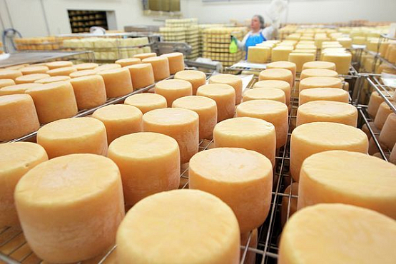 В Пензенской области в четыре раза увеличилось производство сыров