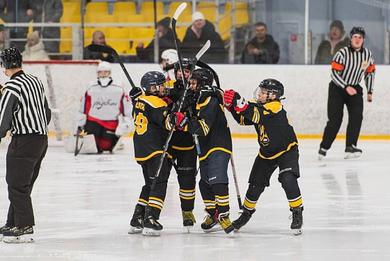 Пензенская СШОР по хоккею получила грант от КХЛ