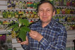 Весной у пензенских дачников-огородников дел вагон и маленькая тележка Весной у пензенских дачников-огородников дел вагон и маленькая тележка