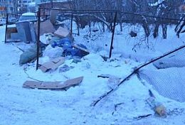 В Пензе ликвидировано 27 несанкционированных свалок В Пензе ликвидировано 27 несанкционированных свалок