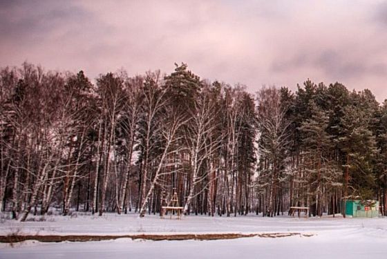 Специалисты назвали основные угрозы для пензенских лесов