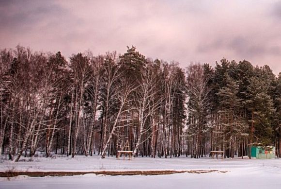 Специалисты назвали основные угрозы для пензенских лесов