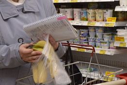 «Магаззино» по-пензенски: общественники недовольны проверкой ТЦ