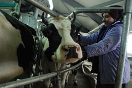 Сельское хозяйство Пензенской области: точки роста Сельское хозяйство Пензенской области: точки роста