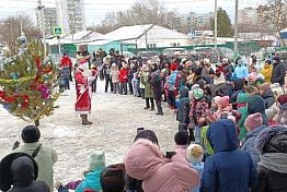 В Пензе поставят больше 50 новогодних елок