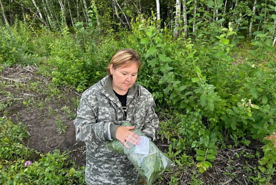 В пензенских лесах проверили уровень радиации