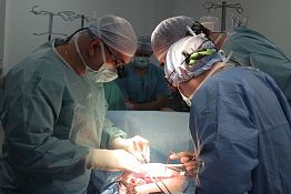 В Пензе опытный кардиохирург сделал операцию свинье