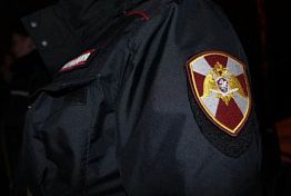 В Никольске дважды за ночь покушались на один и тот же гараж