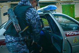 В Пензе дебошир разбил стекло автомобиля «скорой»