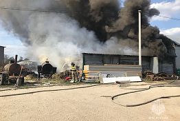 МЧС опубликовало видео с места пожара на складе в Пензе