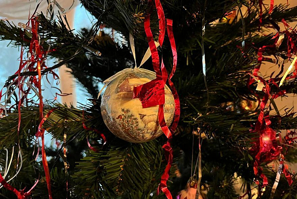 Полицейские задержали пензенского Гринча