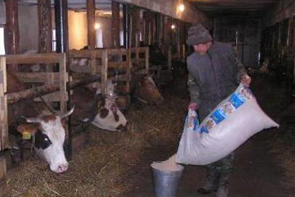 В Пензенской области сельчанам расскажут о поддержке семейных ферм
