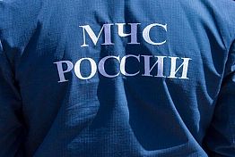 В Нижнем Ломове начальник-пожарный погорел на мошенничестве