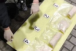 Задержанный в Нижнем Ломове наркокурьер использовал для конспирации маламута