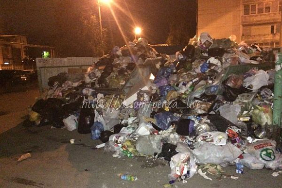 Пользователи соцсетей возмутились горой мусора на Измайлова