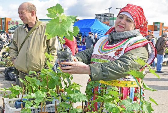 В Пензе устроили ярмарку для садоводов и дачников