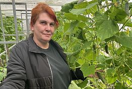 Овощевод из Воскресеновки поделилась секретами круглогодичного урожая Овощевод из Воскресеновки поделилась секретами круглогодичного урожая