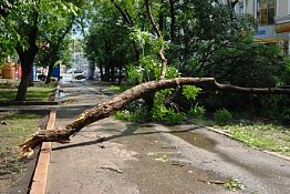 МЧС предупреждает пензенцев о сильном ветре и ливне