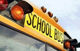 Пензенская область приобрела 12 школьных автобусов