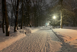 Губернатор рассказал о реконструкции парка Белинского