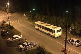 В Заречном жующего яблоки лося сбил автобус