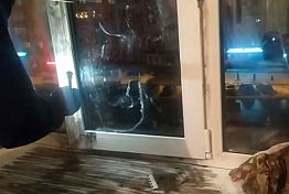 Опубликовано видео с места падения из окна отца и дочери в Засечном