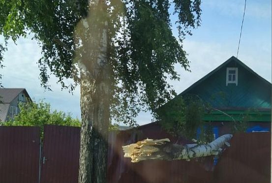Ураган в Тамале: сильнейший ветер повалил на дом дерево
