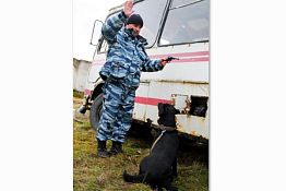Пензенский инспектор-кинолог «заразил» коллег русским жимом Пензенский инспектор-кинолог «заразил» коллег русским жимом