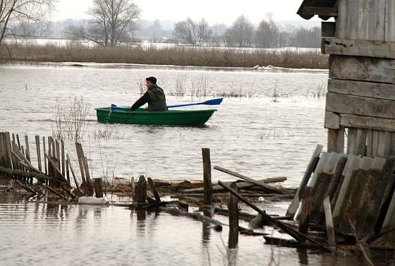В Пензенской области из-за паводка могут быть подтоплены 5 тыс. домов