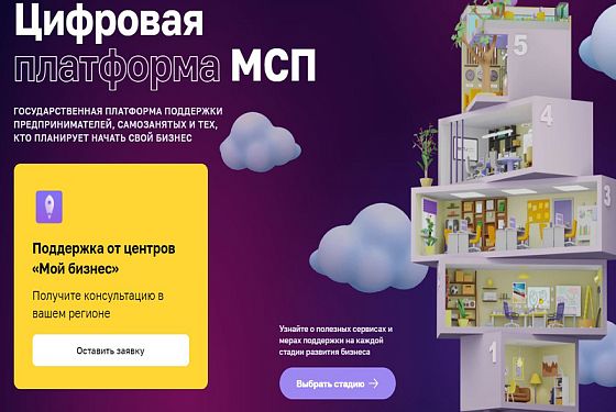 Через платформу МСП пензенские предприниматели могут обратиться за региональными мерами поддержки
