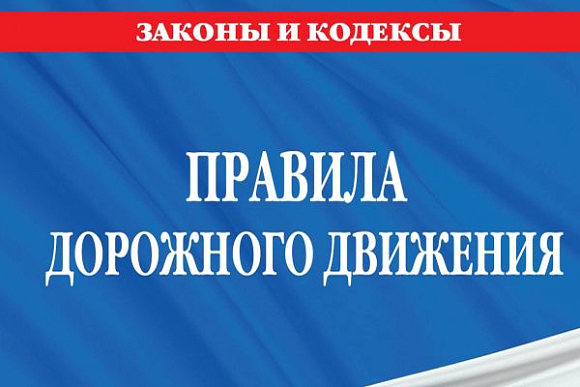 Парень «нарушил» ПДД в Пензе, находясь во Франции