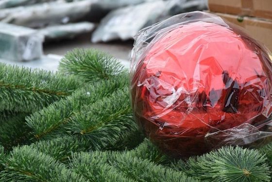 В Пензе начали устанавливать новую новогоднюю елку
