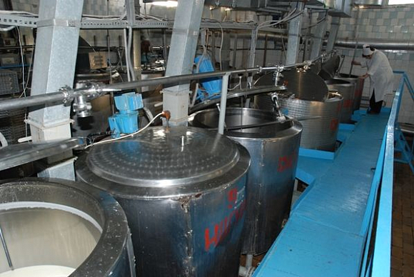 В Пензенской области увеличилось производство молока