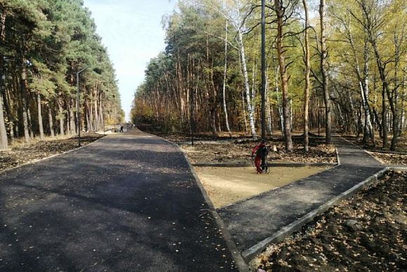 В Сердобске появилась лесная аллея