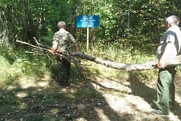 В Пензенской области восстанавливают дендрарий им. Г.Ф. Морозова