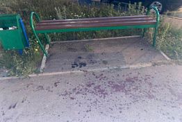 В Заречном прогулка с собакой закончилась убийством