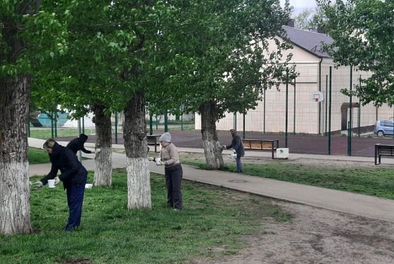 Всероссийский субботник пройдет в Пензенской области 25 апреля