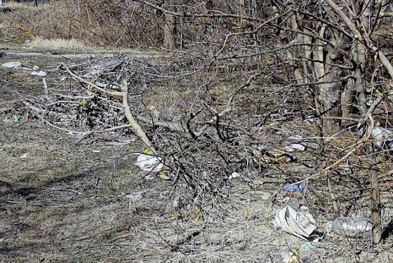 В Пензе у детского сада убрали стихийную свалку