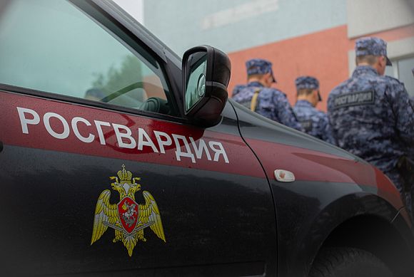 В Пензе серийный вор выдал себя кражей в магазине на Чаадаева