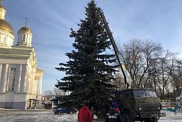 В Пензе на Соборной площади поставили живую ель