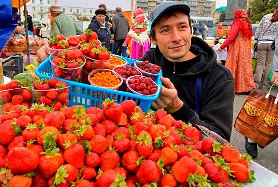 Пензенцы могут в апреле купить клубнику местного производства