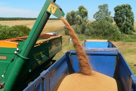 В Пензенской области намолотили почти 1 млн 800 тыс. тонн зерна