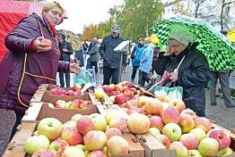 В выходные дни в Пензе откроется ярмарка местной продукции