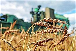 Пензенские аграрии получат деньги на развитие Пензенские аграрии получат деньги на развитие