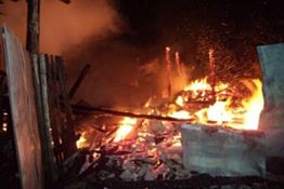 В Пензе пожары тушили 36 спасателей
