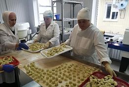Белозерцев поручил поддержать производство полуфабрикатов в селе Бестянка Белозерцев поручил поддержать производство полуфабрикатов в селе Бестянка