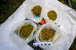 Полиция изъяла у сердобчанина 17 свертков с марихуаной Полиция изъяла у сердобчанина 17 свертков с марихуаной